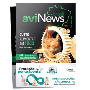 aviNews Brasil
