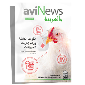 aviNews Arabic